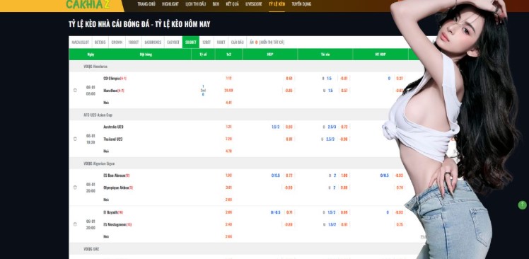 Technical Reliability and the Fan Experience